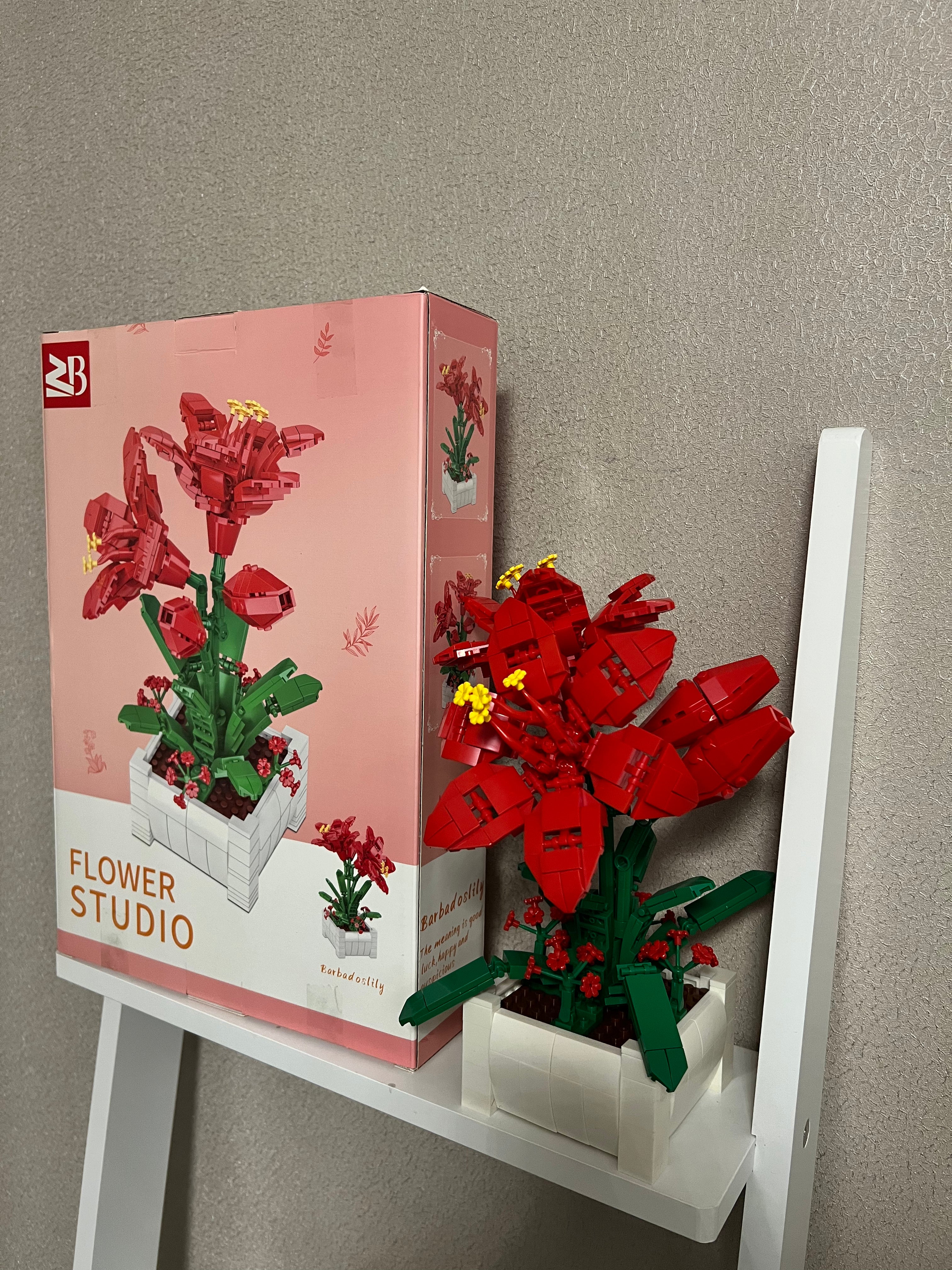 Rote Parbadoslilie