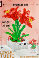 Rote Parbadoslilie