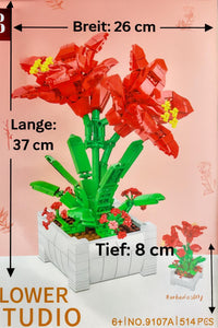 Rote Parbadoslilie
