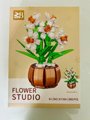 Daffodil Blütenzauber