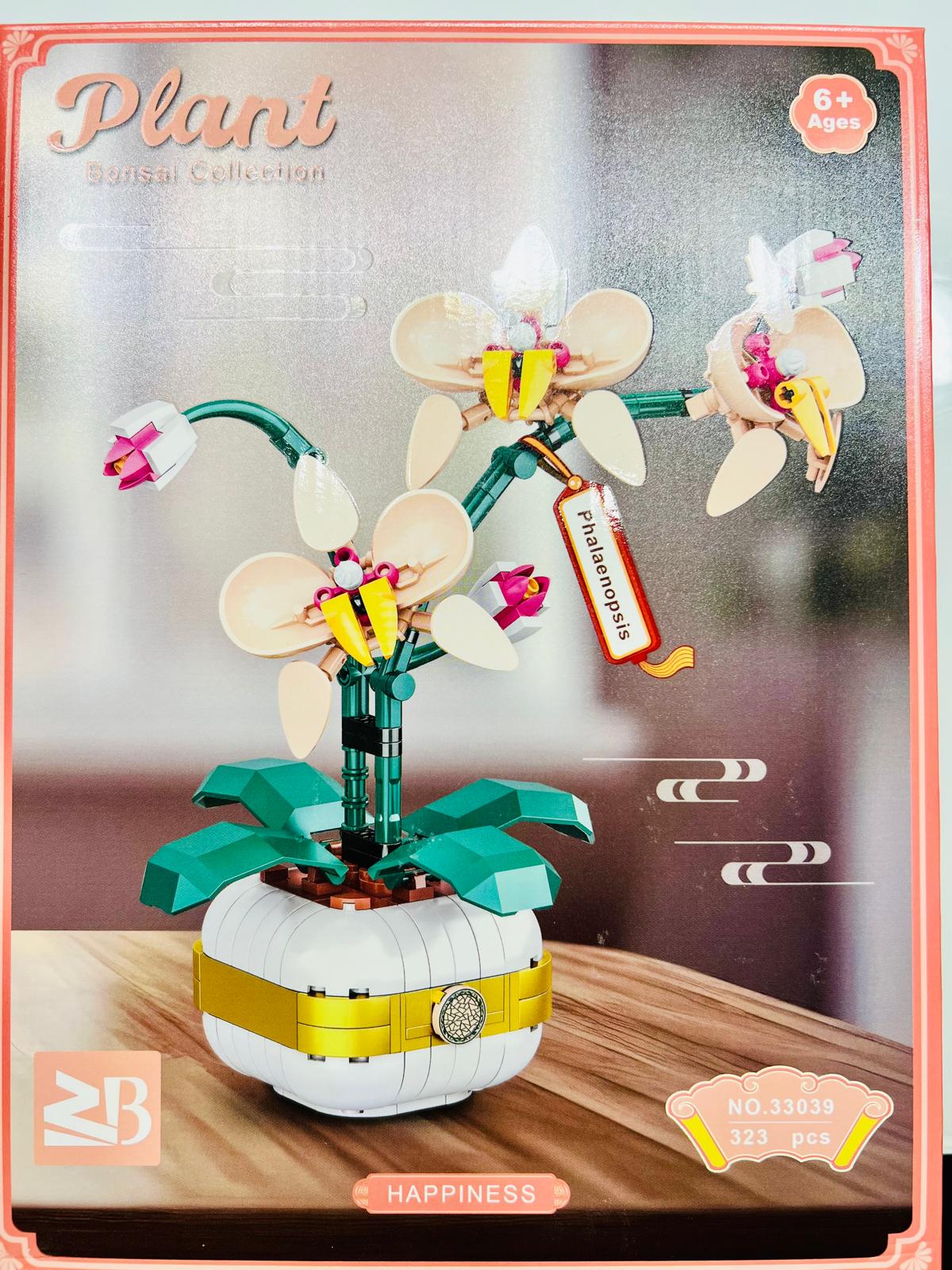 Phalaenopsis-Orchidee