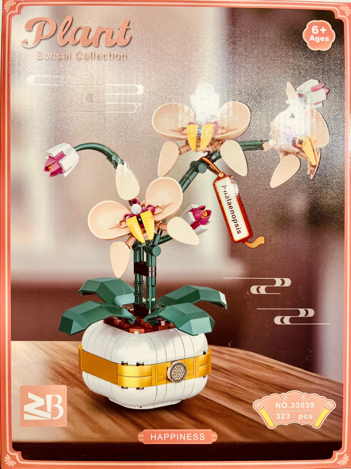Phalaenopsis-Orchidee
