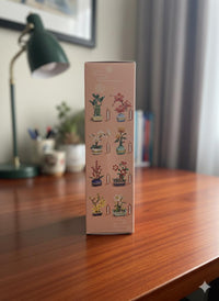 Phalaenopsis-Orchidee