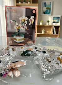 Phalaenopsis-Orchidee Phalaenopsis-Orchidee in hochwertiger Baustein-Form. Dieses detailgetreue Modell besteht aus 323 Präzisionsbausteinen und wird in einer kompakten, hochwertigen Verpackung geliefert: