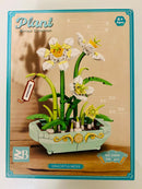 Island Botanik Bauset - Orchideen Blumen Display
